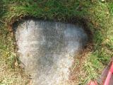 image of grave number 409767